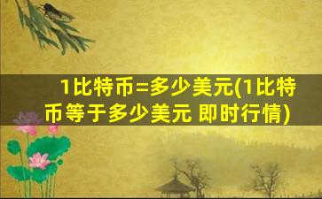 1比特币=多少美元(1比特币等于多少美元 即时行情)